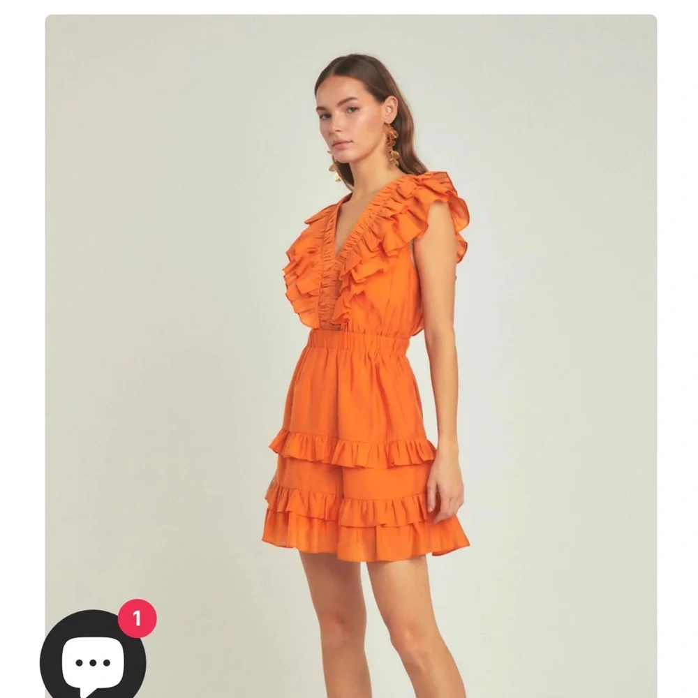 Endless Rose Ruffle Detail Mini Dress - Picture 1 of 6